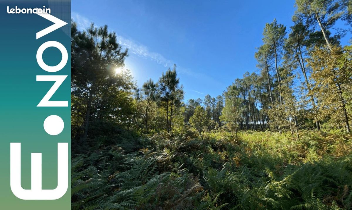 Terrain 1 800 m² Belin Beliet · à Belin-Béliet · 185 000 €