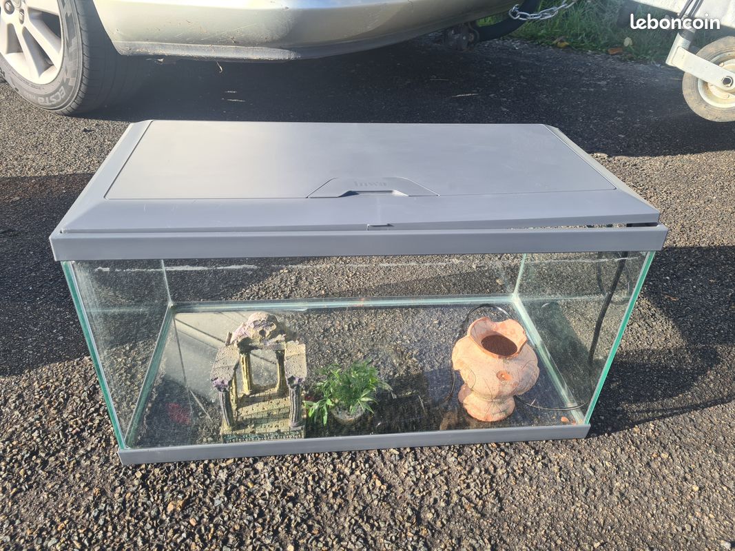 Aquarium (image 1)