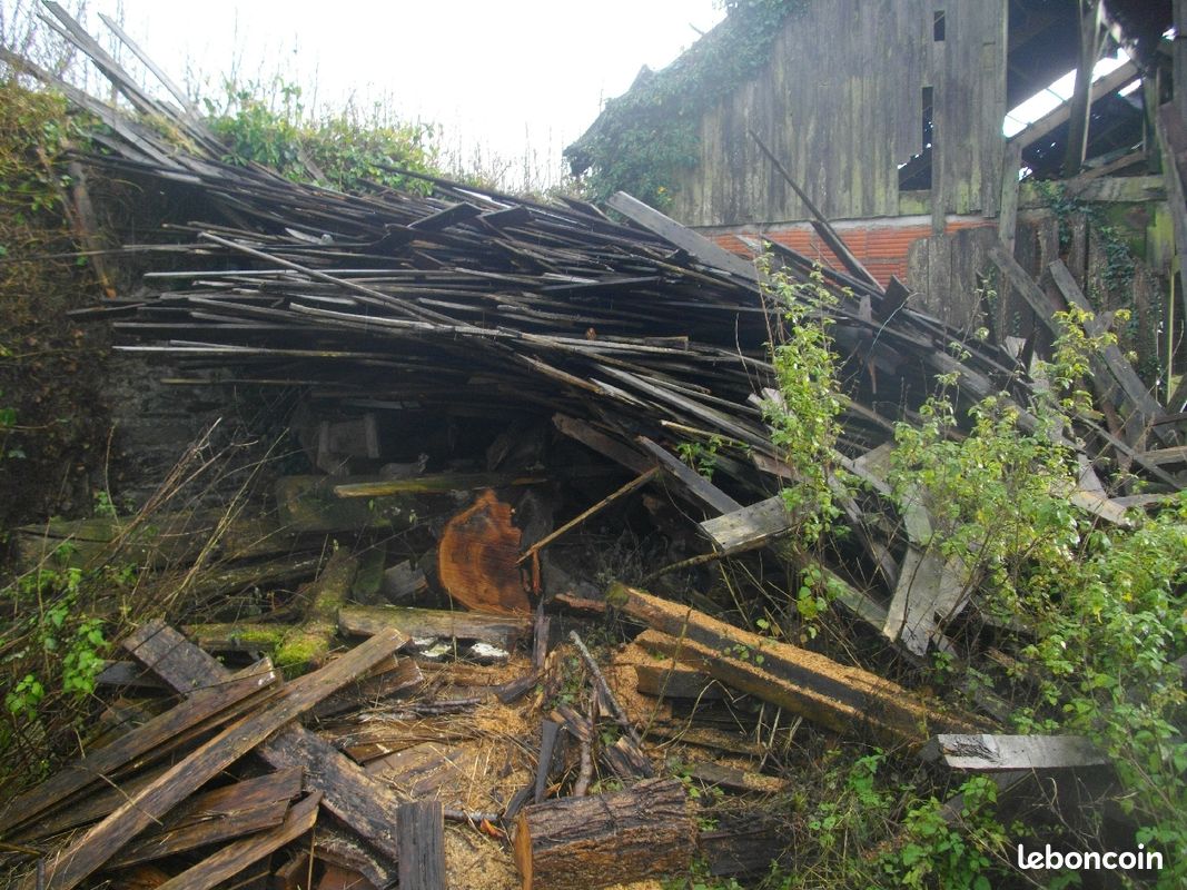 Bois pour chauffage (image 1)