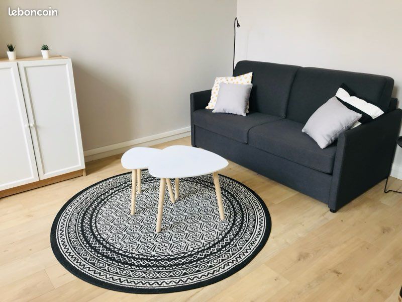Appartement 1 pièce 18 m² · à Pau · 18 m² · 520 €