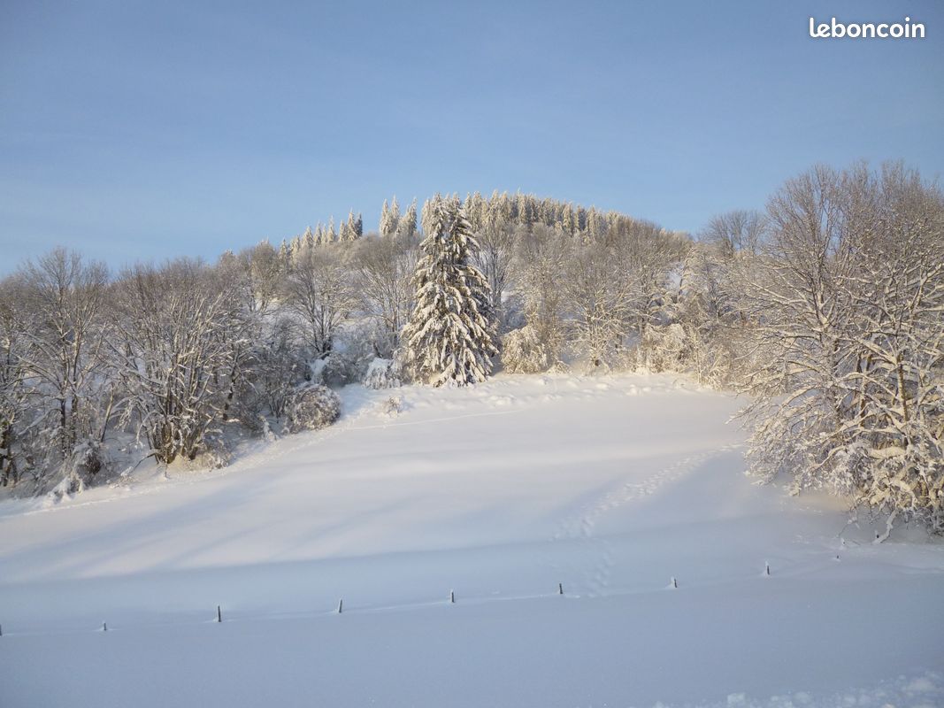 Chalet sympa Hautes Vosges (image 15)