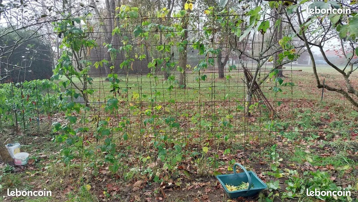 Treillis-treille de jardin pour légumes grimpants (image 2)