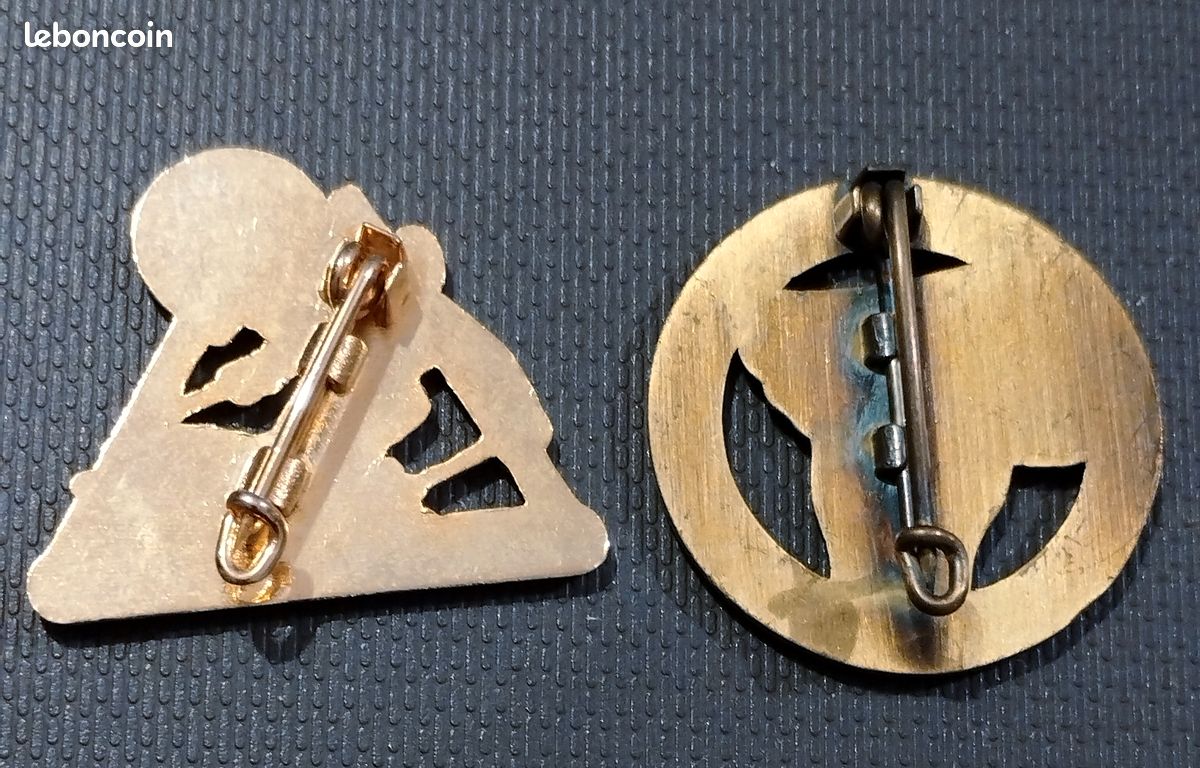 Pin's / Badge Ecole Du Ski Français (ESF) - Ancelle - Vintage
