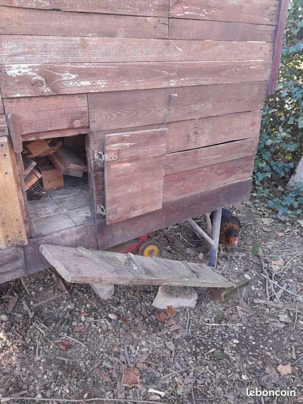 Cabane (image 3)