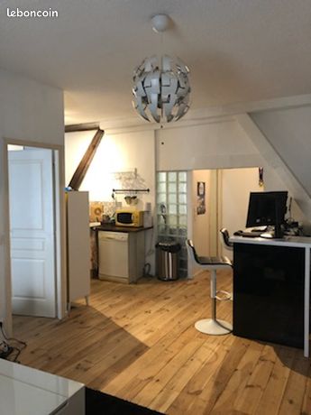 Chaleureux T2 meublé 52m2 centre-ville historique