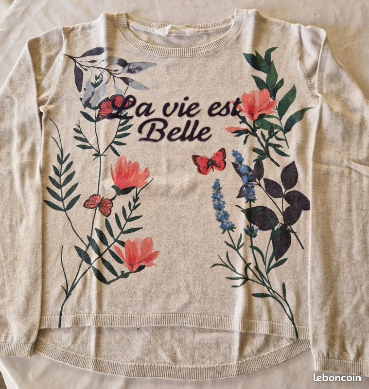 Pull Fin Pour Garçon 12 Ans - Marque Gemo, Gris, Occasion Très Bon état