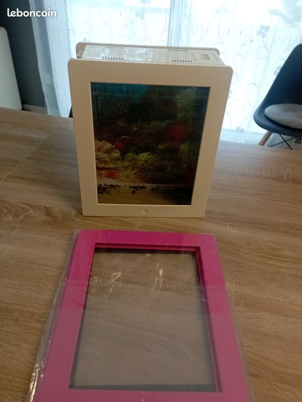 Petit aquarium (image 3)