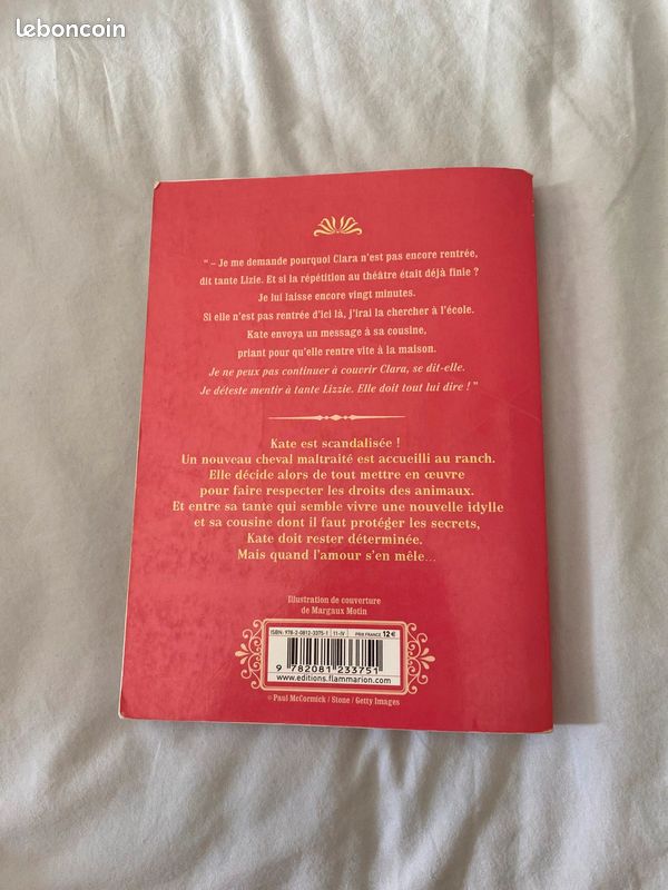 Livre pour adolescents - Un ranch pour Kate (image 2)