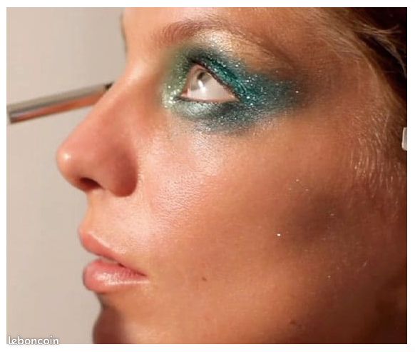 Dvd Vogue Paris en coulisses Aaron de May maquille Daria Werbowy (image 5)