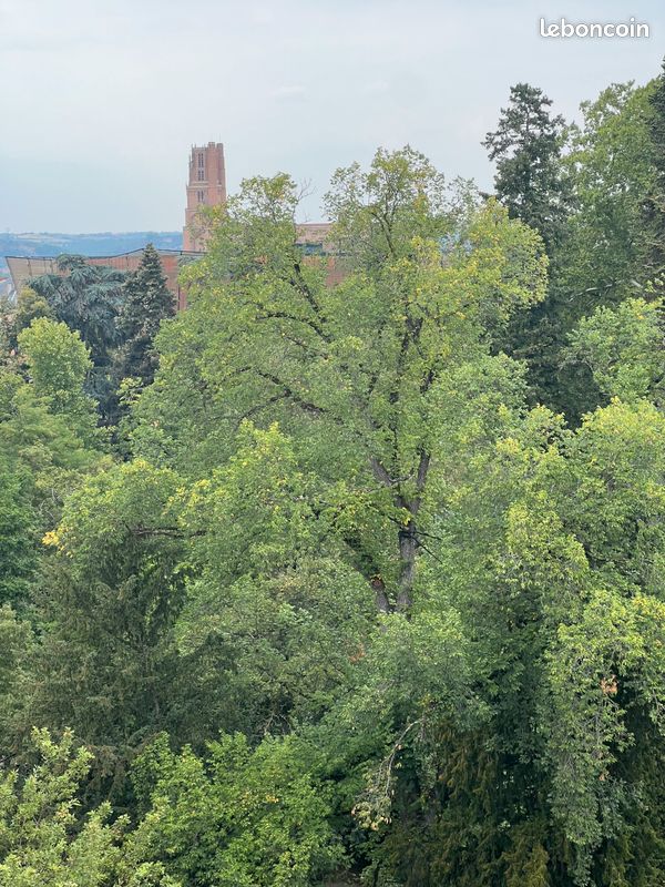 Appartement 6 pièces 78 m² · à Albi · 78 m² · 755 €/mois