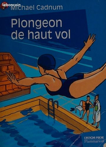 Plongeon de haut vol (image 1)