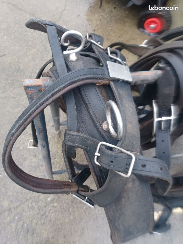 Harnais cheval ou trait réglable (image 2)