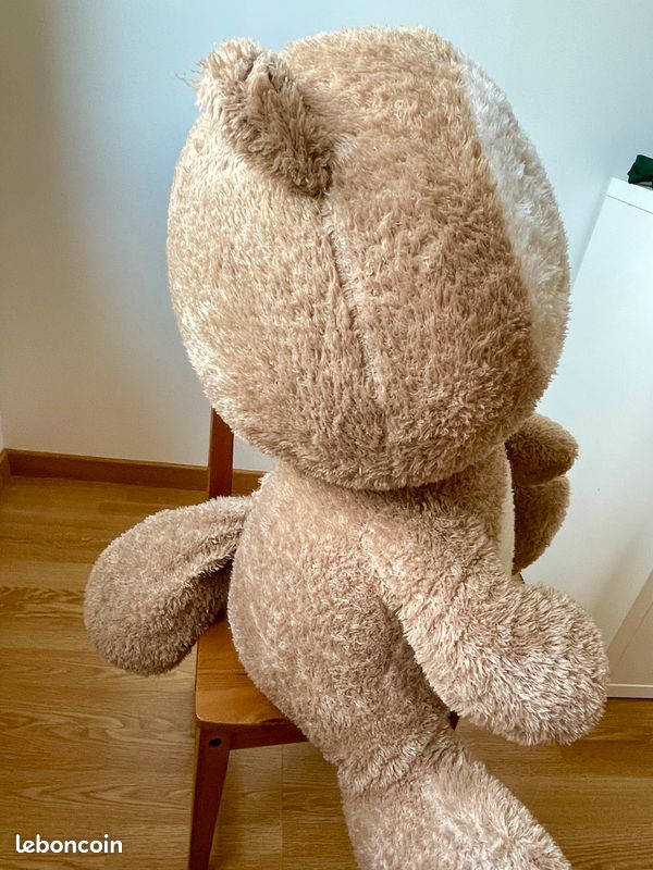 Ours en peluche (image 2)
