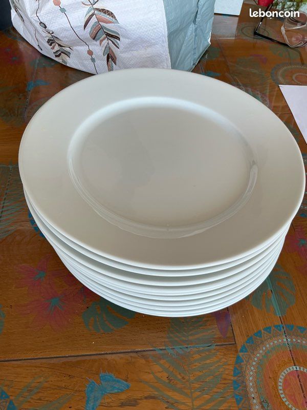 10 Assiettes plates (image 1)
