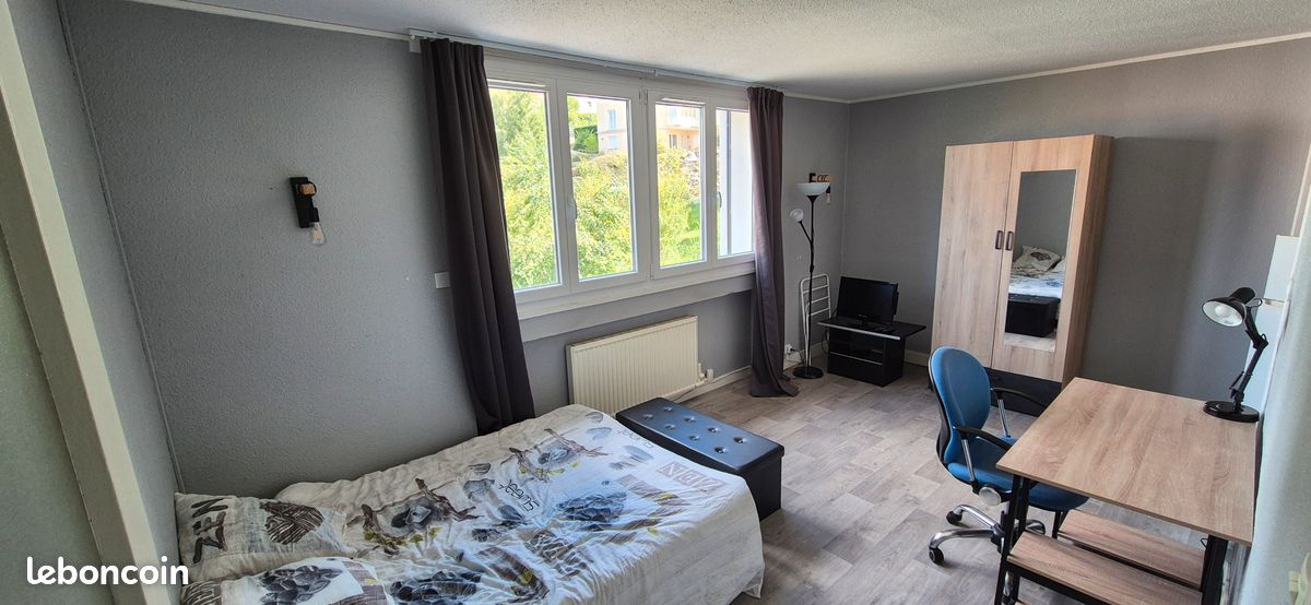 Appartement 1 pièce 29 m² · à Saint-Étienne · 29 m² · 420 €/mois