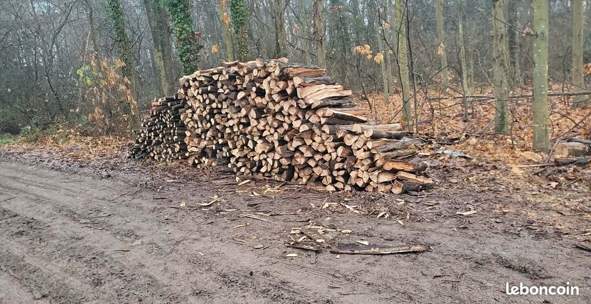 Vente de bois de chauffage (image 3)