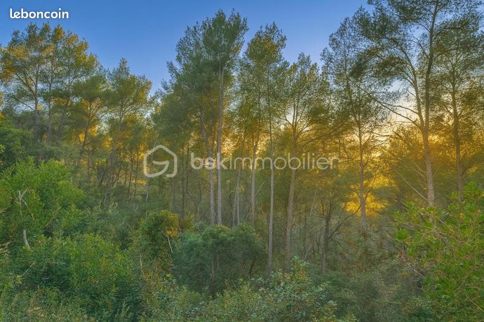 Terrain 5 600 m² La Cadiere D Azur