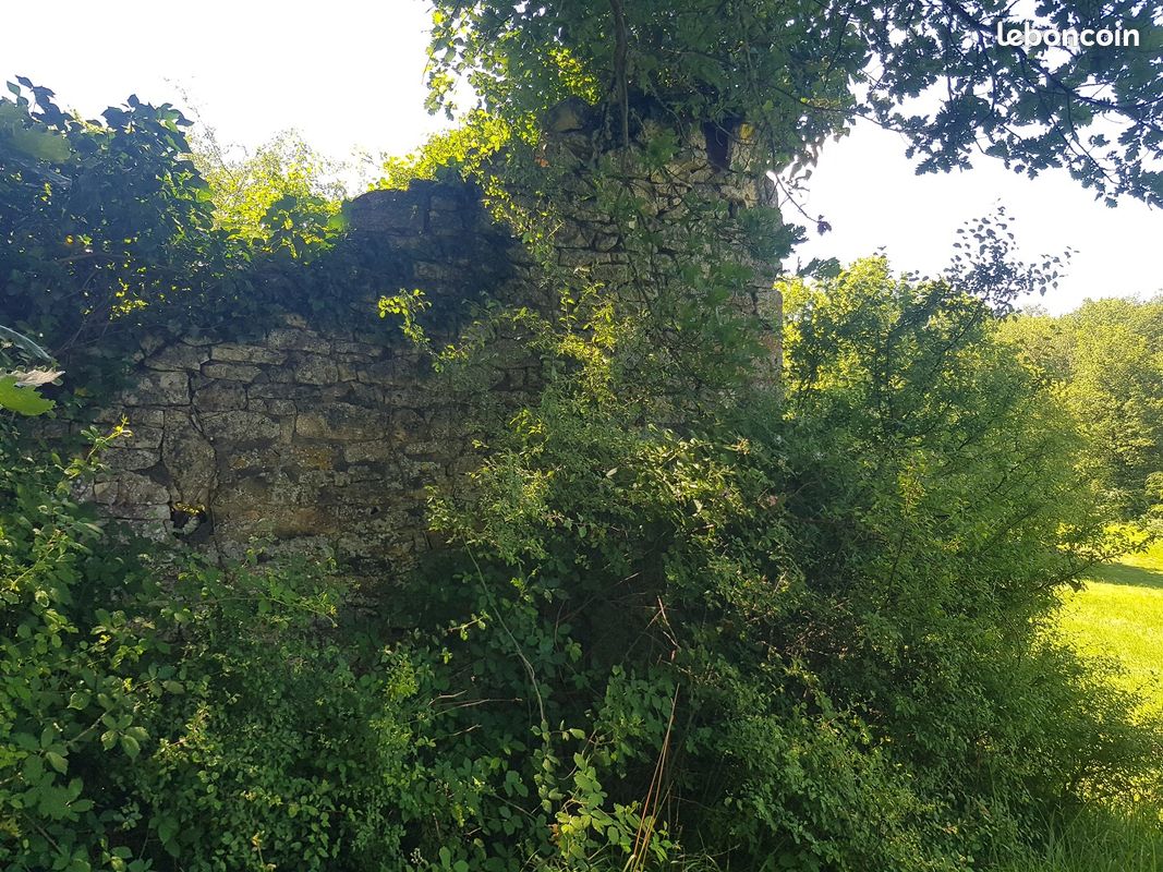 Terrain de 22 hectares avec ruine de pierre · à Pechs-de-l'Espérance · 95 000 €