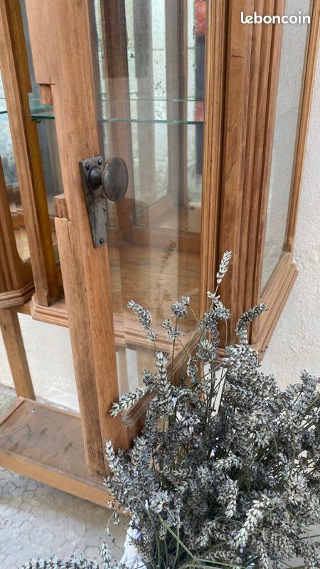 🌱 Paire de vitrines à poser vintage 🌱 (image 4)