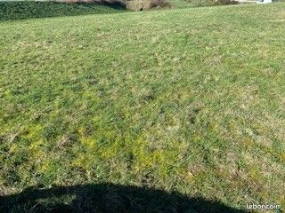 Terrain 265 m² Baden · 174 000 €