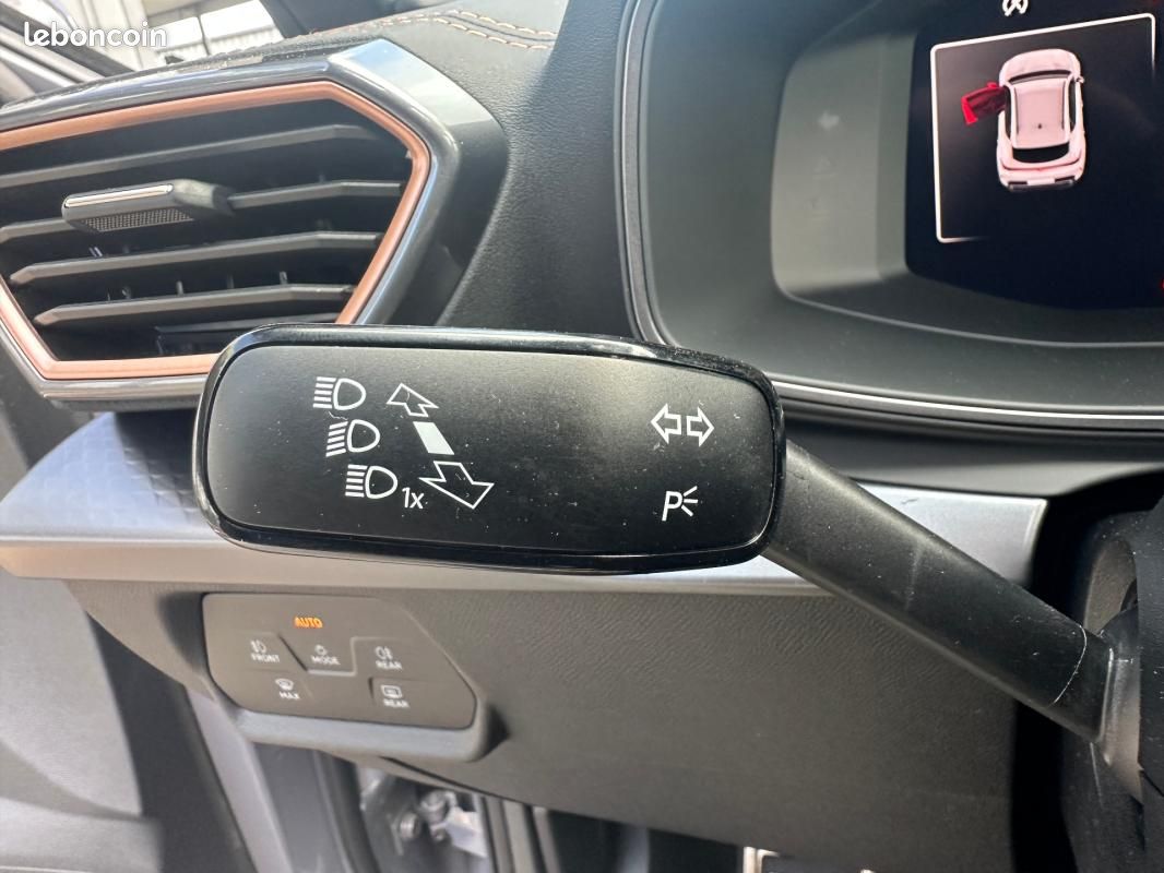 Cupra Formentor 2.0 TDI 150 ch DSG7 V (image 18)