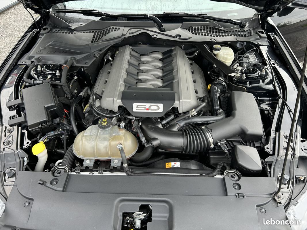 FORD Mustang Fastback V8 5.0 421 GT A (image 27)