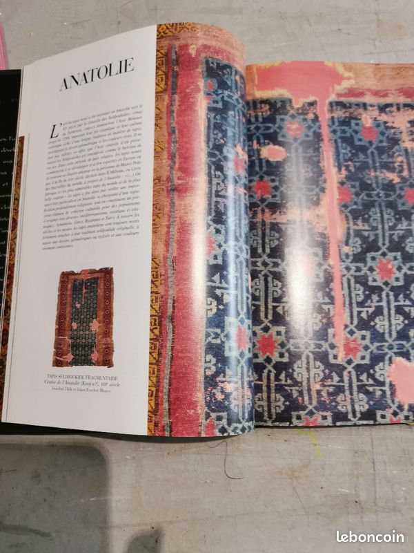 Livre les tapis (image 3)