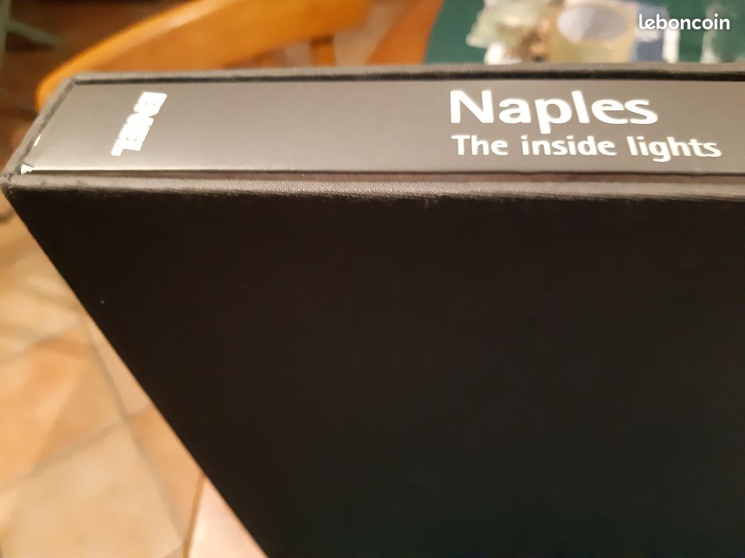 Livre Naples " Thz Inside Lights " en Anglais état neuf (image 1)