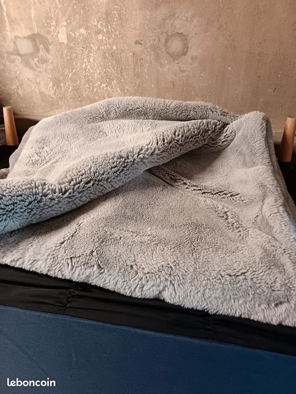 Tapis (image 1)