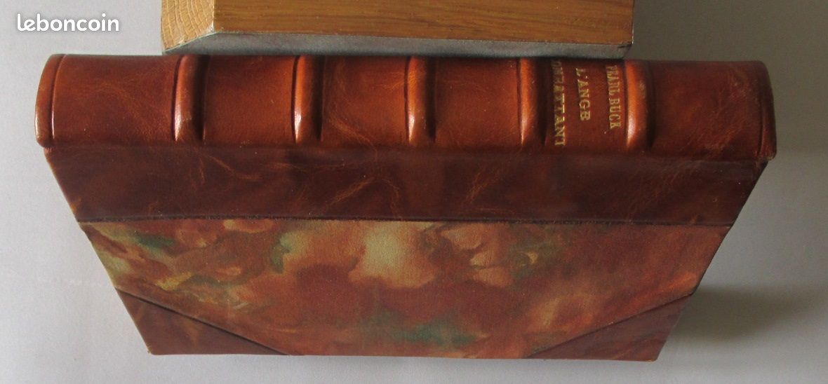 L'ange combattant / Pearl Buck (eric livre 54200) (image 6)