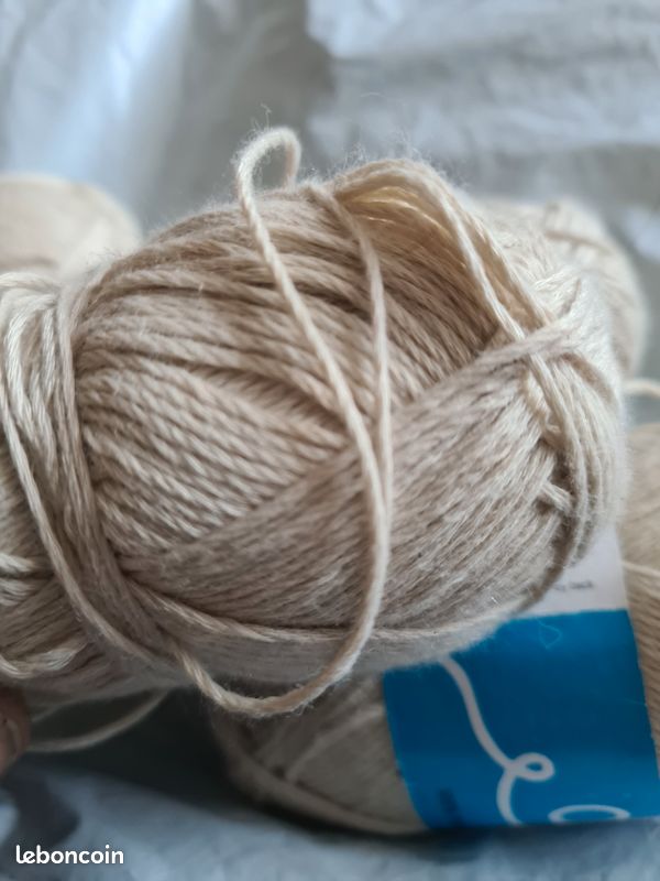 Lot de 4 pelotes ecru Amy de Zeeman (image 6)