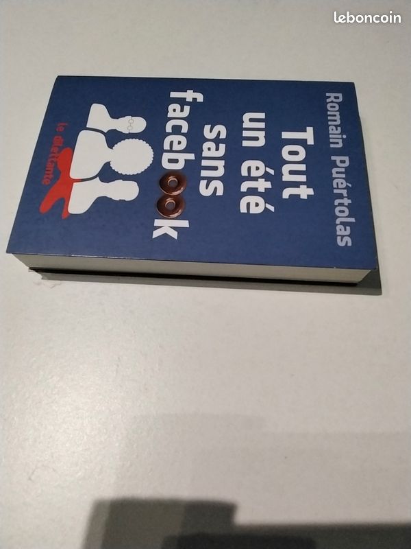 Tout un été sans F........ De Romain Puértolas (image 4)