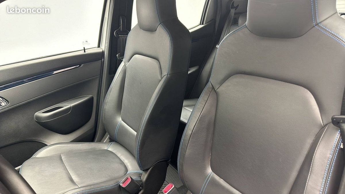 Dacia spring expression (image 12)