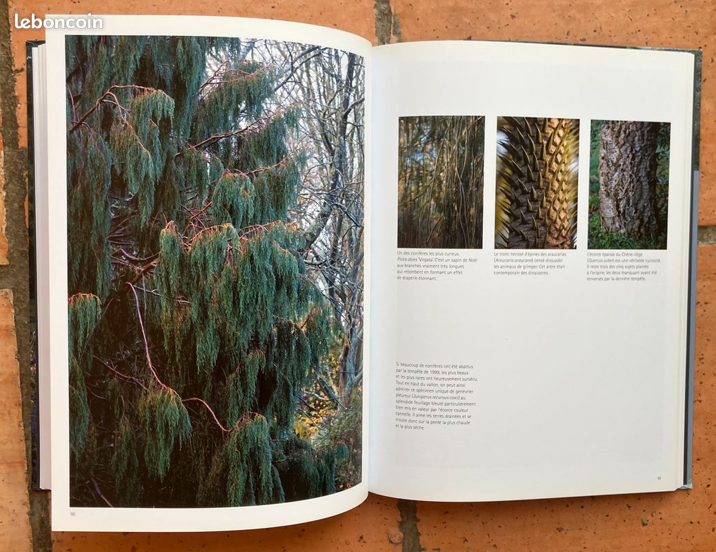 Kerdalo, le jardin continu – Erik Orsenna – État neuf – Beau livre illustré (image 11)