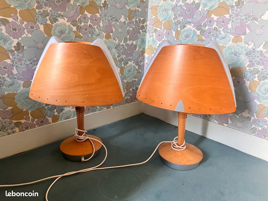 Vends 2 belles lampes vintage (image 1)
