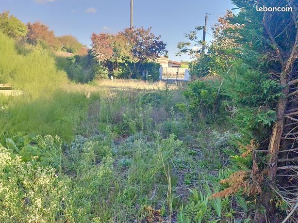 Terrain 445 m² PAREMPUYRE