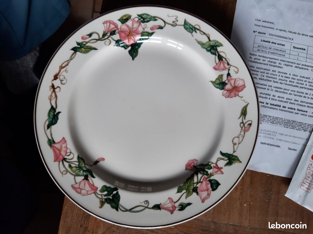 Ancienne assiette plate à dessert Villeroy et Boch 21 cm (image 1)