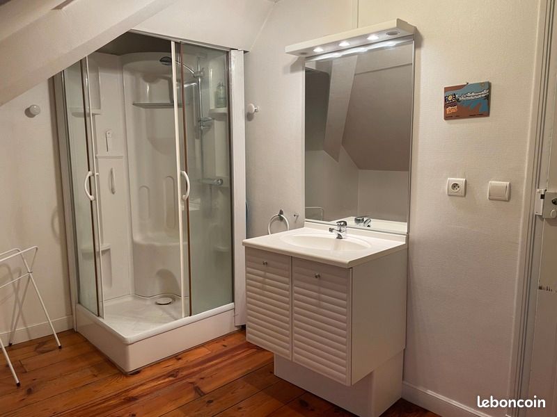 Maison de ville 8 pièces 260 m² (image 14)
