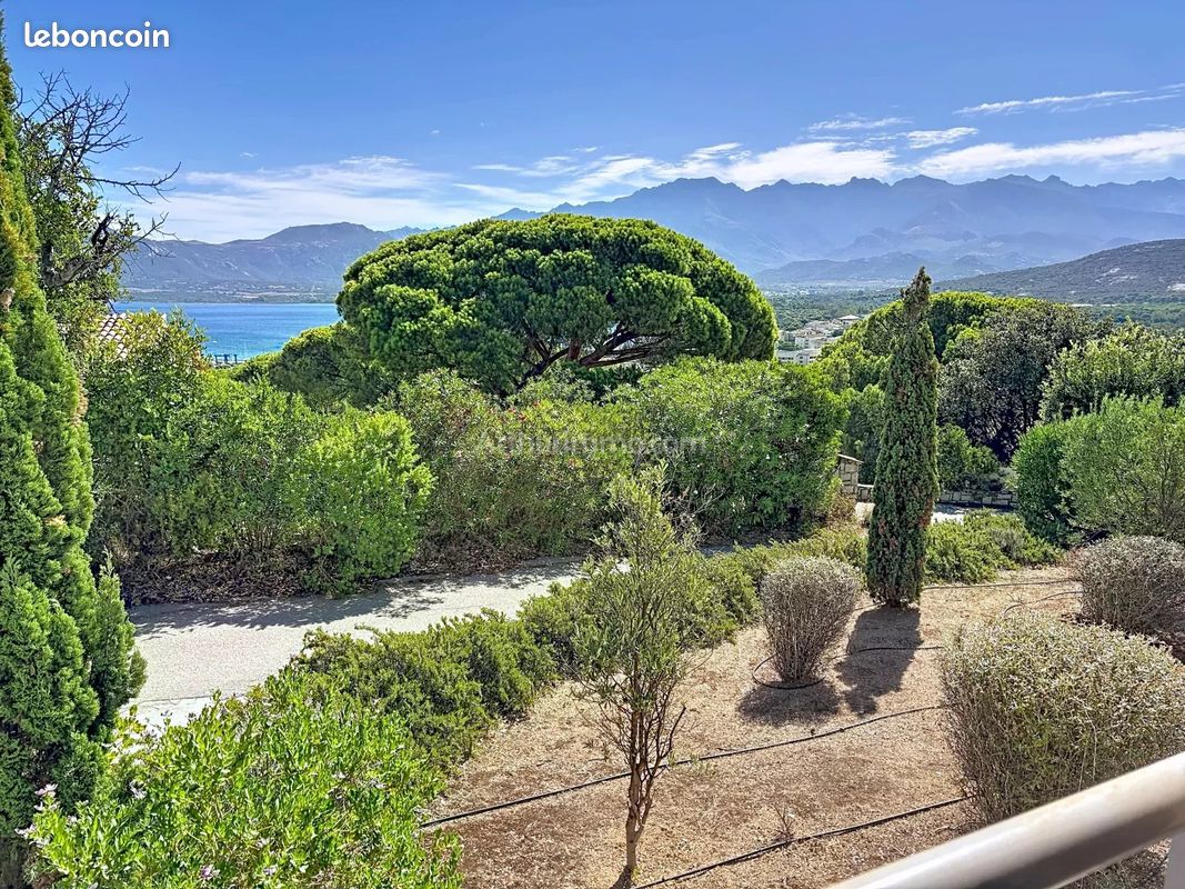 Appartement 2 pièces 36 m² · à Calvi · 36 m² · 243 800 €