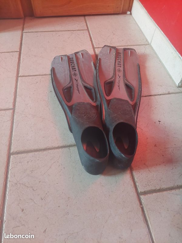 Paire de palmes (image 1)
