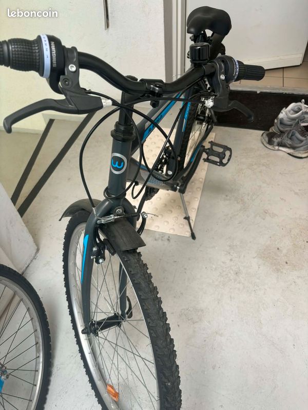 Vélo woodsun RAIDLO (image 3)