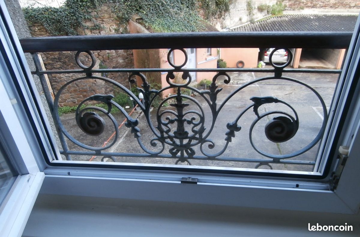 Garde corps en fer forgé (image 1)