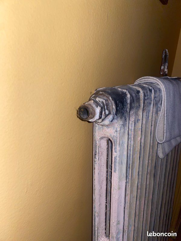 Radiateur en fonte (image 2)