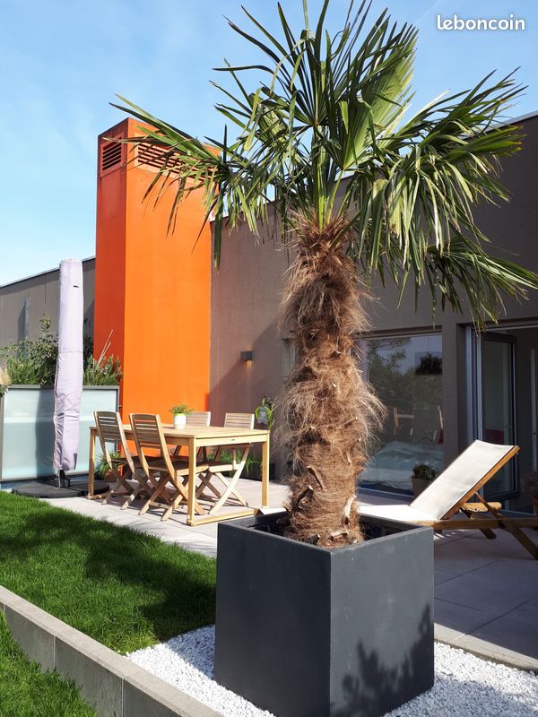 Appartement 4 pièces 80 m² · à Saint-Ouen-sur-Seine · 80 m² · 2 990 €/mois