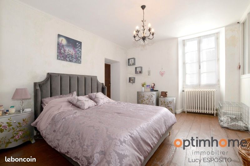 Maison 10 pièces 352 m² - Ansac-sur-Vienne 16500 (image principale 11)