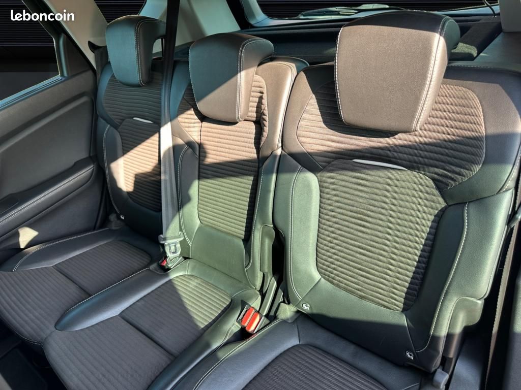 Renault Scénic 1.7 Blue dCi - 120 2019 IV MONOSPACE Intens PHASE 1 (image 13)