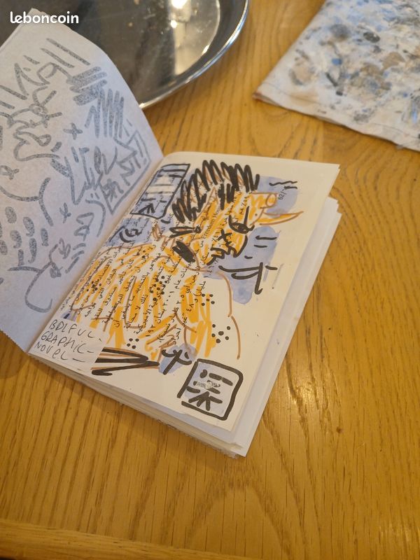 Lot de 10 romans graphiques (image 8)
