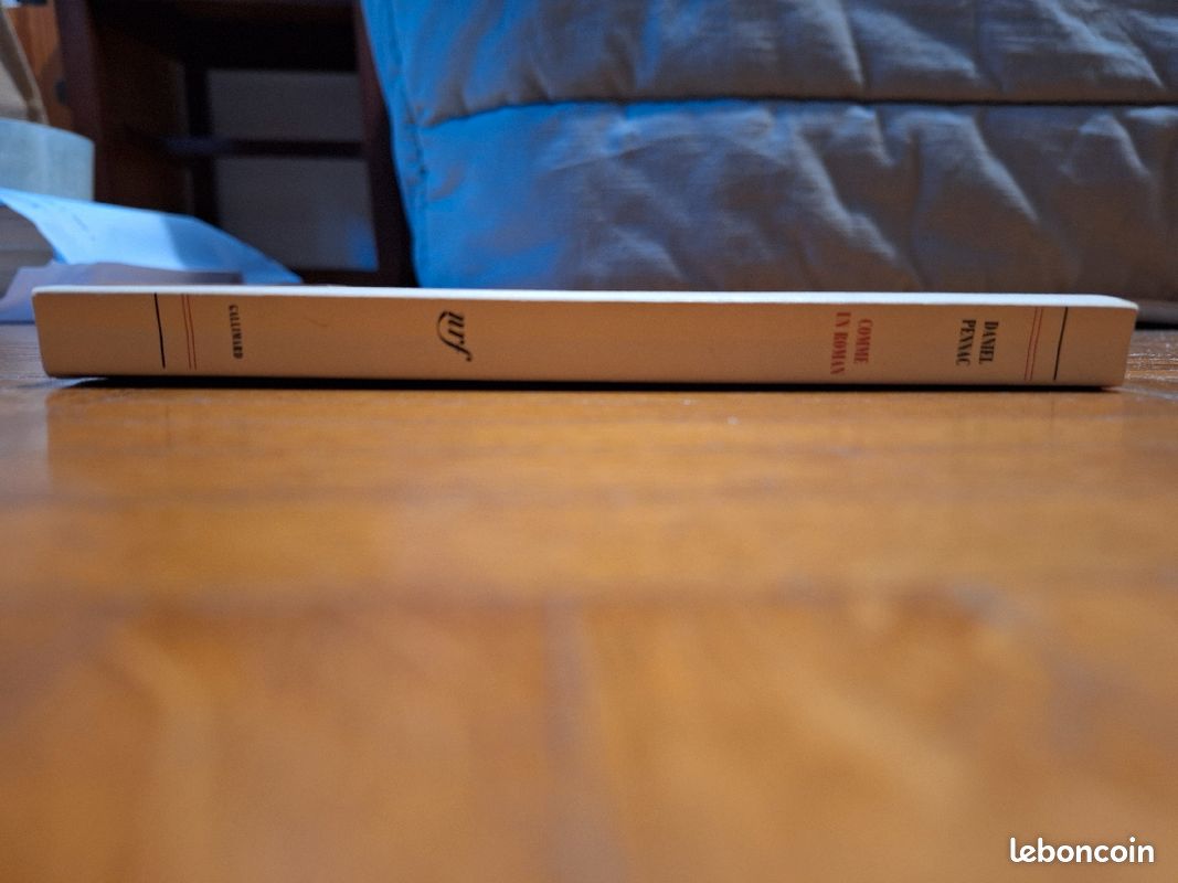 Comme un roman - Daniel Pennac (image 4)