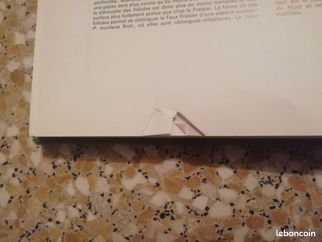 Livres Fleurs Sauvages de France et des Régions Limitrophes (image 7)