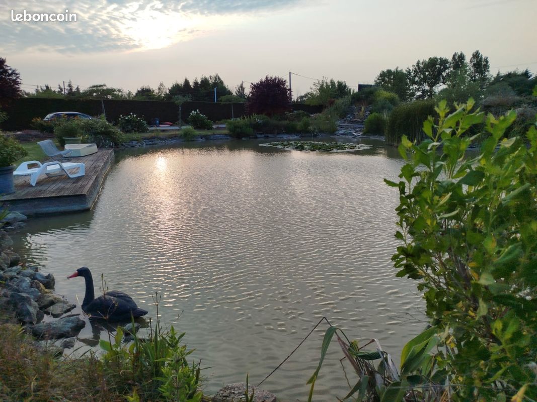 Maison 6 pièces 100 m² · à Saint-Jean-de-Monts · 100 m² · 342 000 €